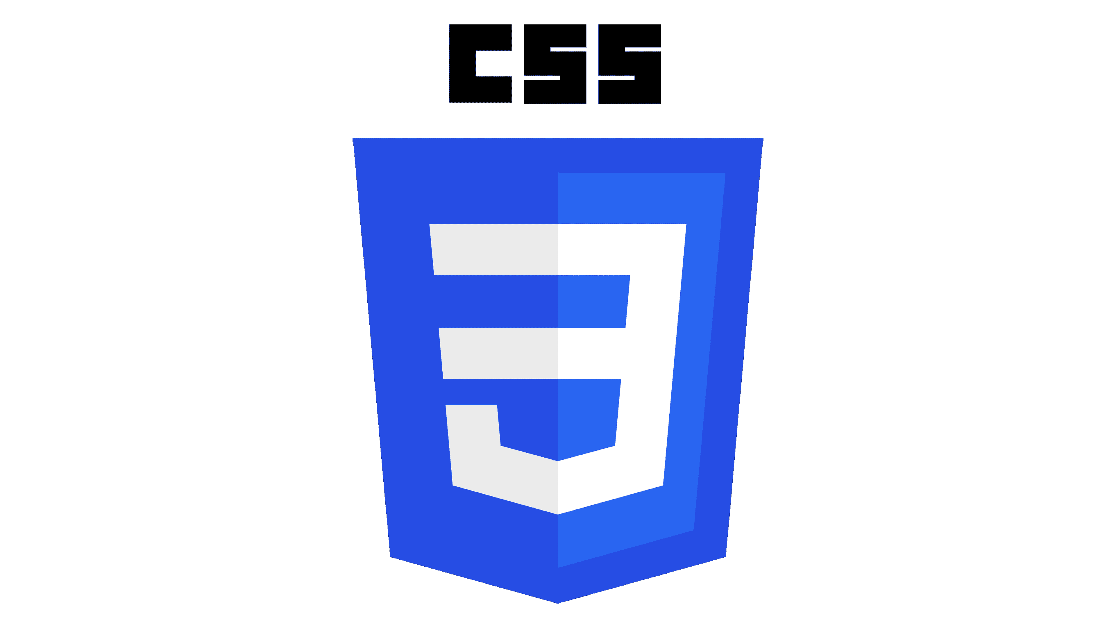 CSS logo